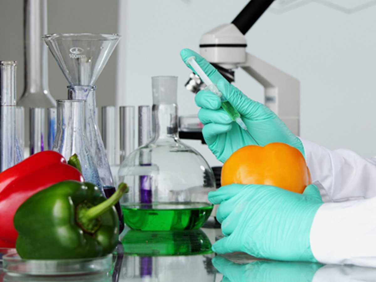 MSC FOOD SCIENCE AND NUTRITION enrollacademy